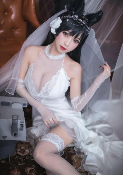 黑色四叶草免费观看