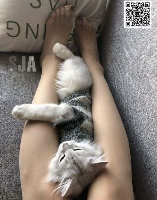 无影侦察队 电影