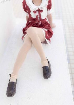 shameless第二季