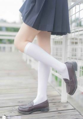护心电视剧免费观看完整版