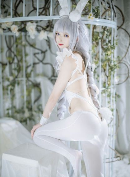 银翼的魔术师