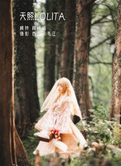 凤弈电视剧全集在线观看免费高清