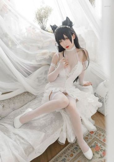 十四岁姑娘免费观看电视剧剧情