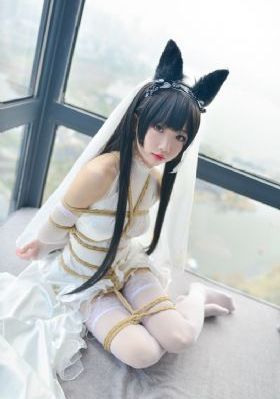 黑兽第一季