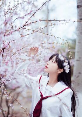 本能5
