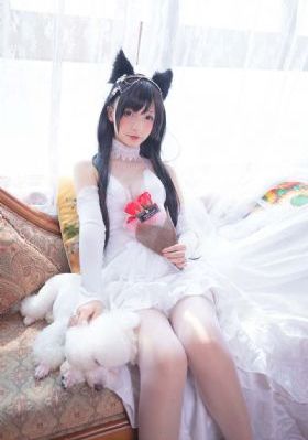 爱出猫